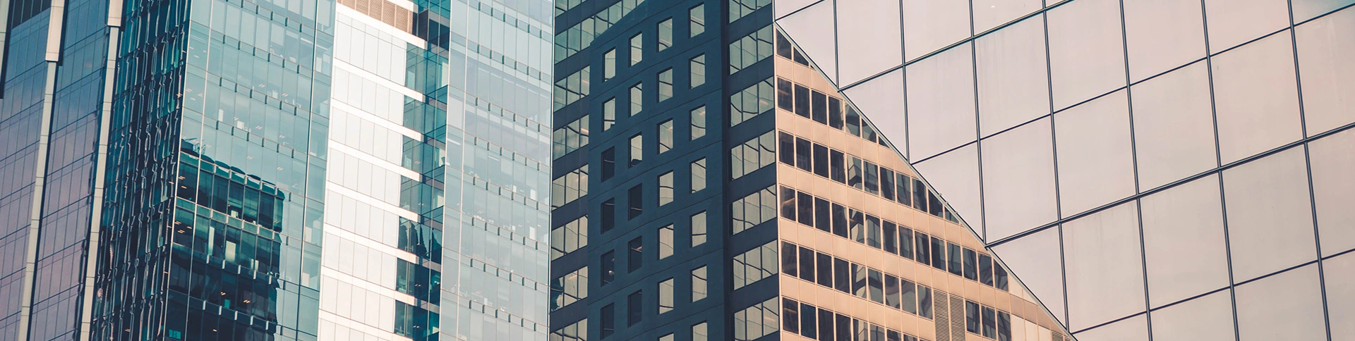 Perfil de la empresa