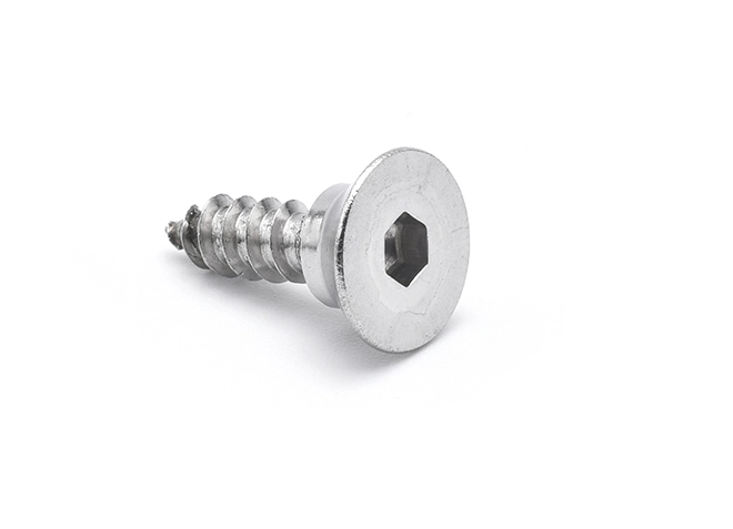 Tornillo autorroscante de cabeza avellanada escalonado no estándar