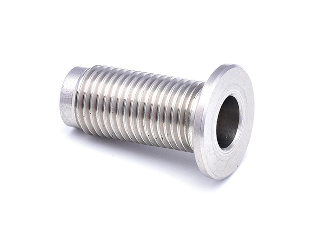Tornillo de acero inoxidable con cabeza redonda y agujero pasante