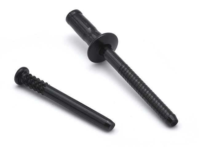 Nuevo tornillo con tratamiento de superficie negro ecológico de 1000 horas+